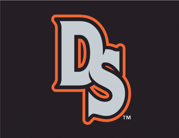 Delmarva Shorebirds 2010-Pres Cap Logo iron on paper